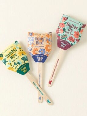 Modern Sprout Pollinator Seed Pops (Set of 3)